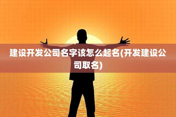 建设开发公司名字该怎么起名(开发建设公司取名)