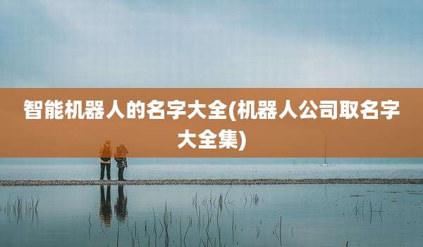 智能机器人的名字大全(机器人公司取名字大全集)