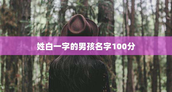 姓白一字的男孩名字100分