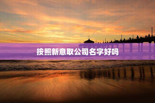 按照新意取公司名字好吗