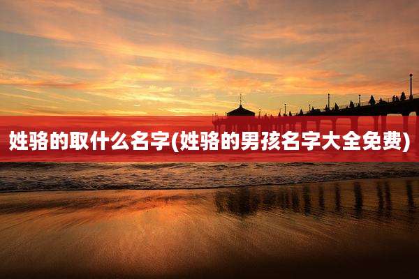 姓骆的取什么名字(姓骆的男孩名字大全免费)