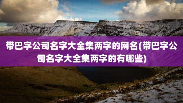 带巴字公司名字大全集两字的网名(带巴字公司名字大全集两字的有哪些)