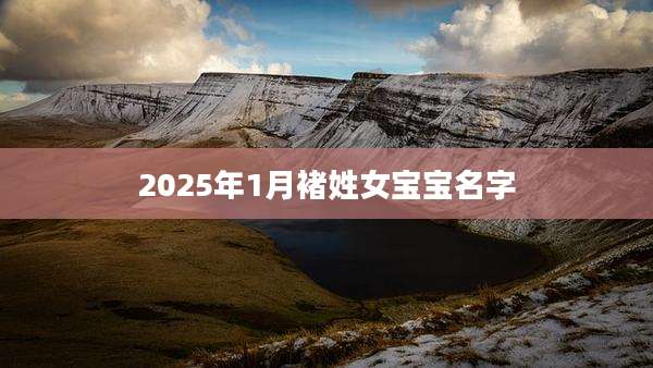 2025年1月褚姓女宝宝名字