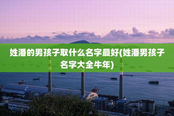 姓潘的男孩子取什么名字最好(姓潘男孩子名字大全牛年)