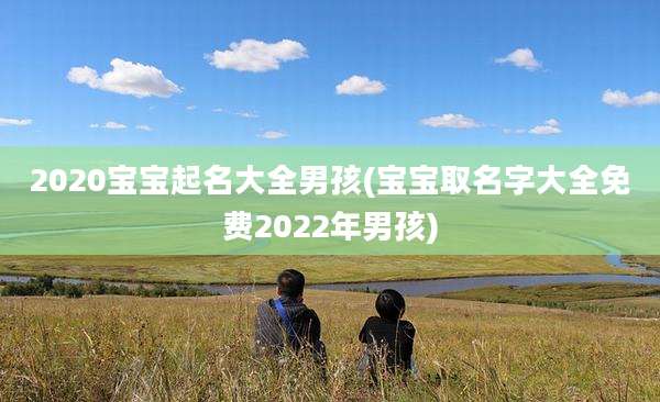 2020宝宝起名大全男孩(宝宝取名字大全免费2022年男孩)