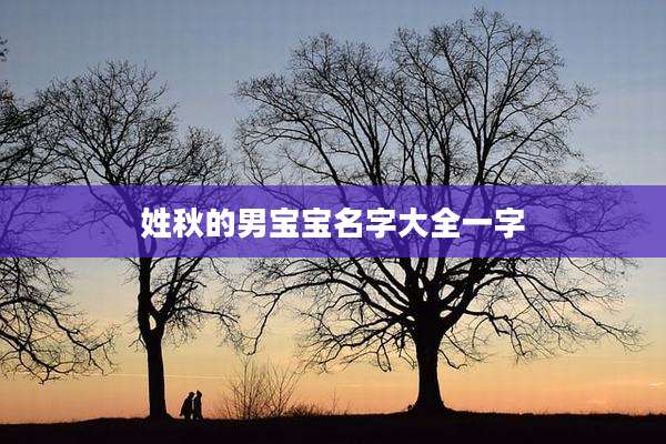 姓秋的男宝宝名字大全一字