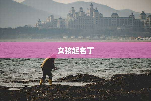 女孩起名丁