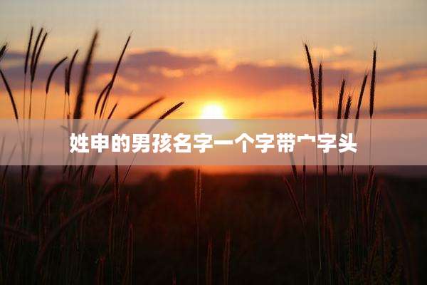 姓申的男孩名字一个字带宀字头