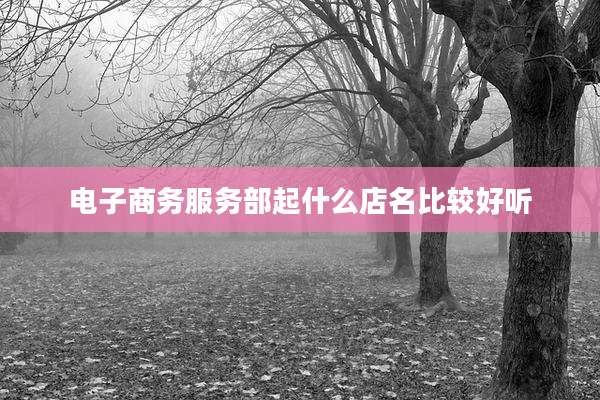 电子商务服务部起什么店名比较好听