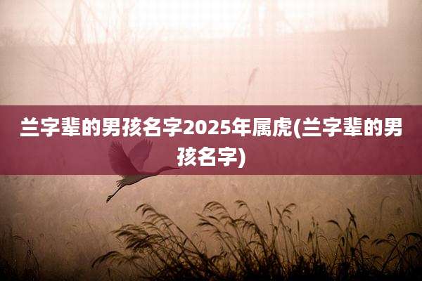 兰字辈的男孩名字2025年属虎(兰字辈的男孩名字)