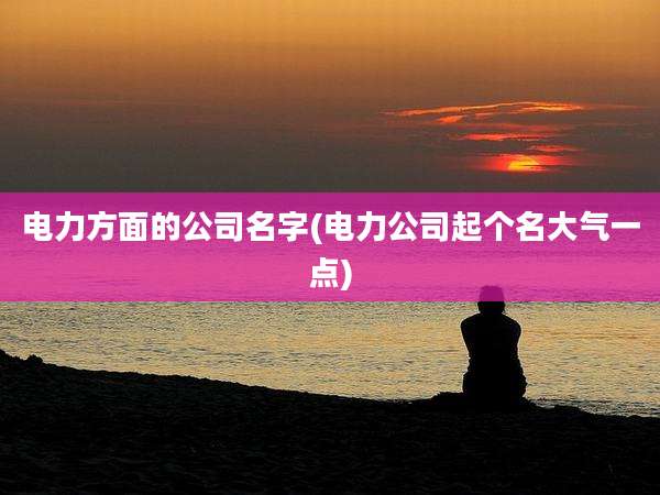 电力方面的公司名字(电力公司起个名大气一点)