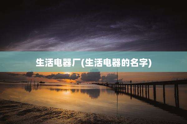 生活电器厂(生活电器的名字)