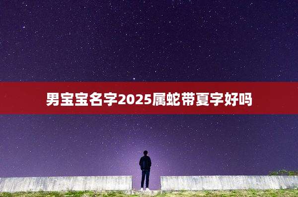 男宝宝名字2025属蛇带夏字好吗