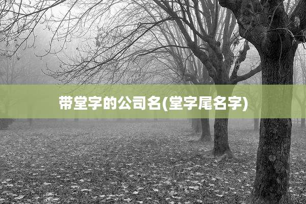 带堂字的公司名(堂字尾名字)