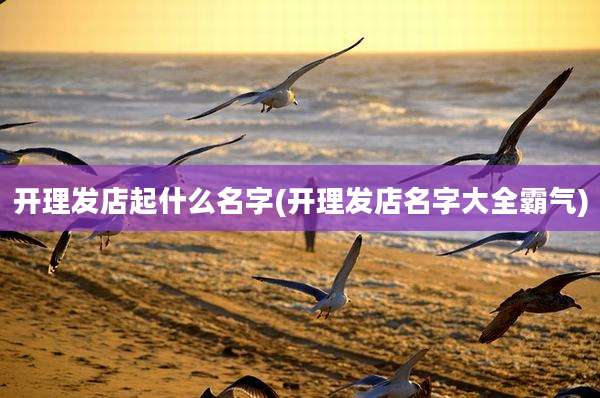 开理发店起什么名字(开理发店名字大全霸气)