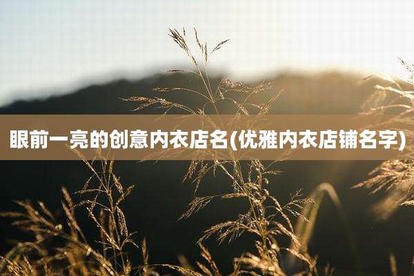 眼前一亮的创意内衣店名(优雅内衣店铺名字)