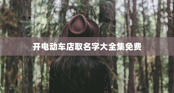开电动车店取名字大全集免费