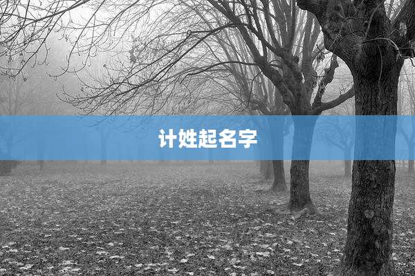 计姓起名字
