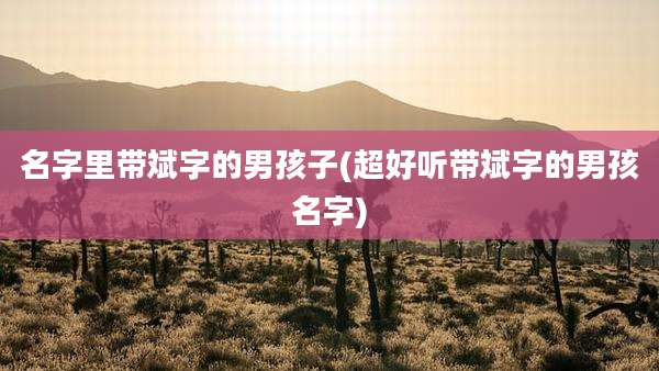 名字里带斌字的男孩子(超好听带斌字的男孩名字)