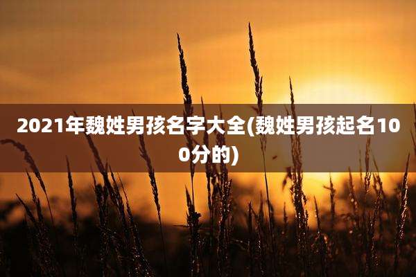 2021年魏姓男孩名字大全(魏姓男孩起名100分的)