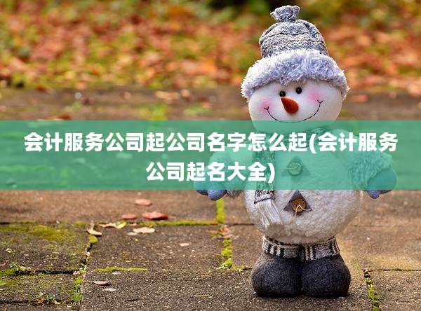 会计服务公司起公司名字怎么起(会计服务公司起名大全)