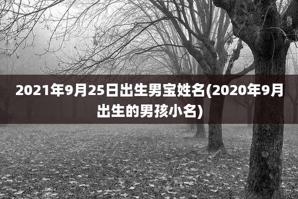 2021年9月25日出生男宝姓名(2020年9月出生的男孩小名)