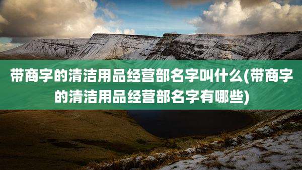 带商字的清洁用品经营部名字叫什么(带商字的清洁用品经营部名字有哪些)
