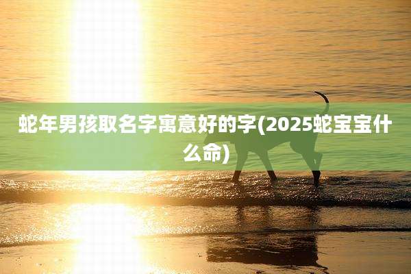 蛇年男孩取名字寓意好的字(2025蛇宝宝什么命)