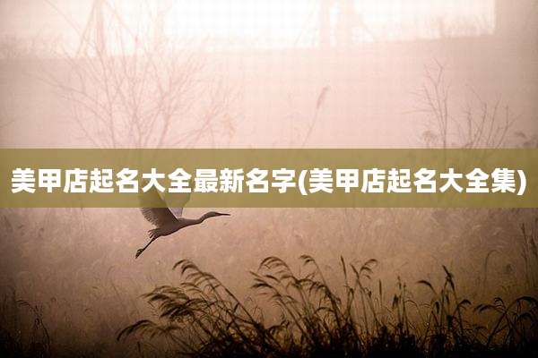 美甲店起名大全最新名字(美甲店起名大全集)
