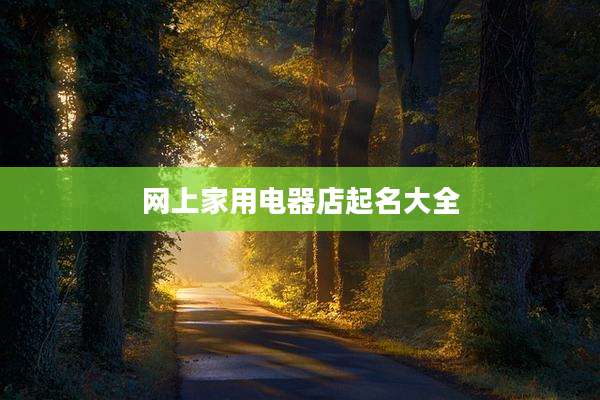 网上家用电器店起名大全