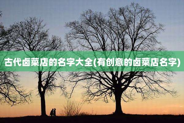 古代卤菜店的名字大全(有创意的卤菜店名字)