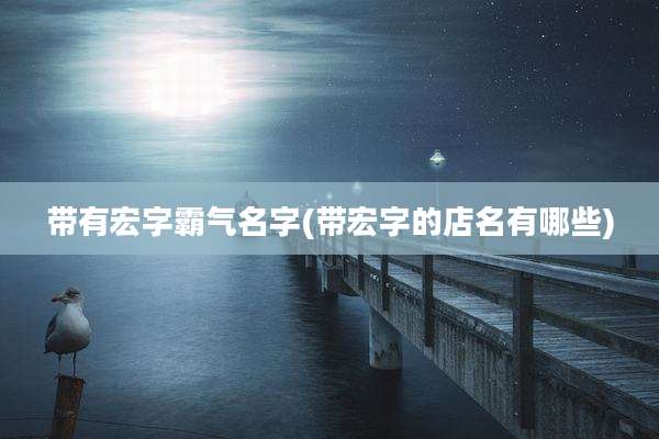 带有宏字霸气名字(带宏字的店名有哪些)