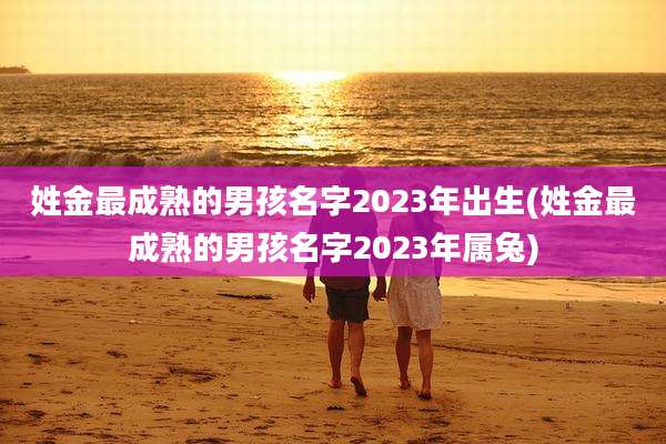 姓金最成熟的男孩名字2023年出生(姓金最成熟的男孩名字2023年属兔)