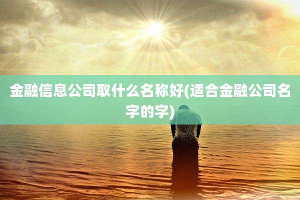 金融信息公司取什么名称好(适合金融公司名字的字)