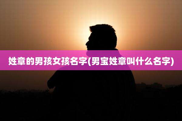 姓章的男孩女孩名字(男宝姓章叫什么名字)