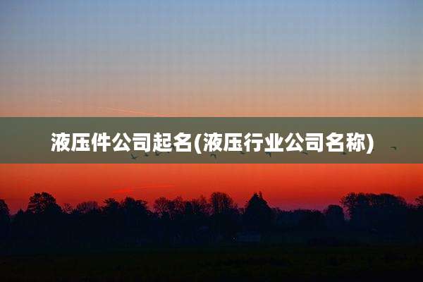 液压件公司起名(液压行业公司名称)