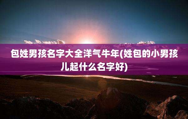 包姓男孩名字大全洋气牛年(姓包的小男孩儿起什么名字好)