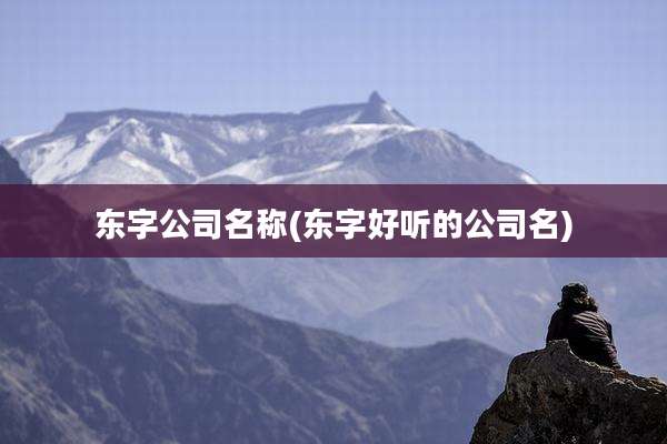 东字公司名称(东字好听的公司名)