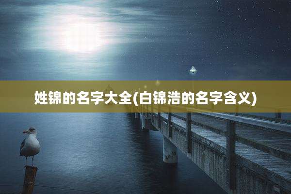 姓锦的名字大全(白锦浩的名字含义)