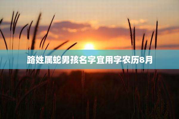 路姓属蛇男孩名字宜用字农历8月