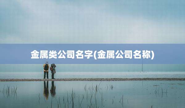 金属类公司名字(金属公司名称)