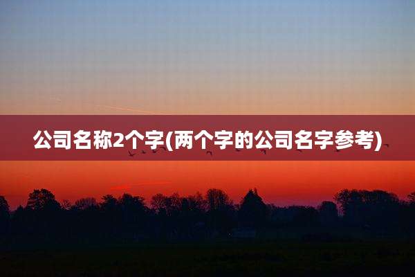 公司名称2个字(两个字的公司名字参考)