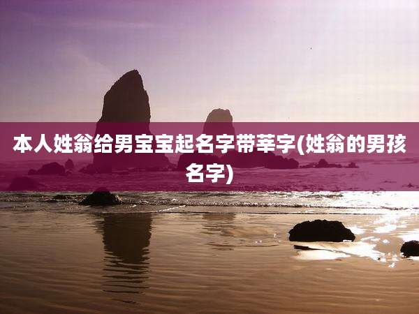 本人姓翁给男宝宝起名字带莘字(姓翁的男孩名字)