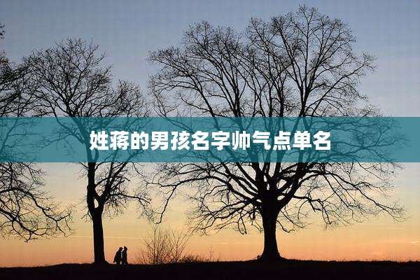 姓蒋的男孩名字帅气点单名