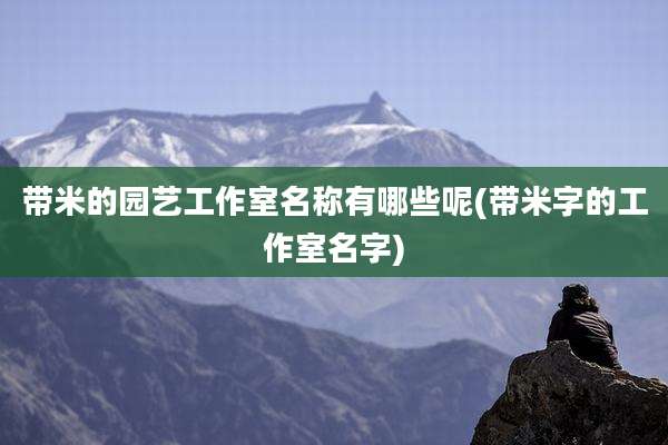 带米的园艺工作室名称有哪些呢(带米字的工作室名字)