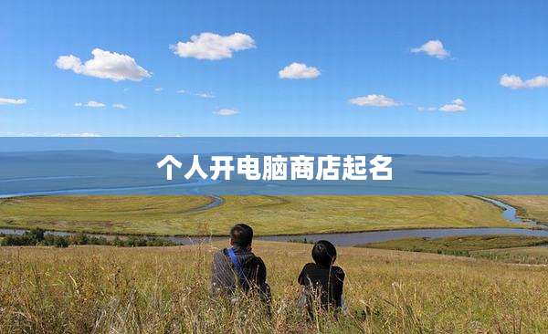 个人开电脑商店起名