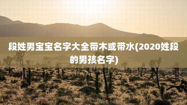 段姓男宝宝名字大全带木或带水(2020姓段的男孩名字)