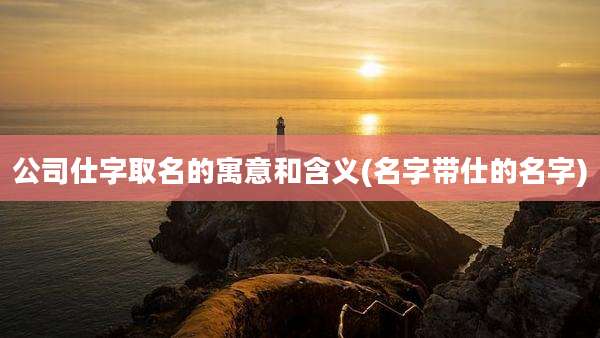公司仕字取名的寓意和含义(名字带仕的名字)