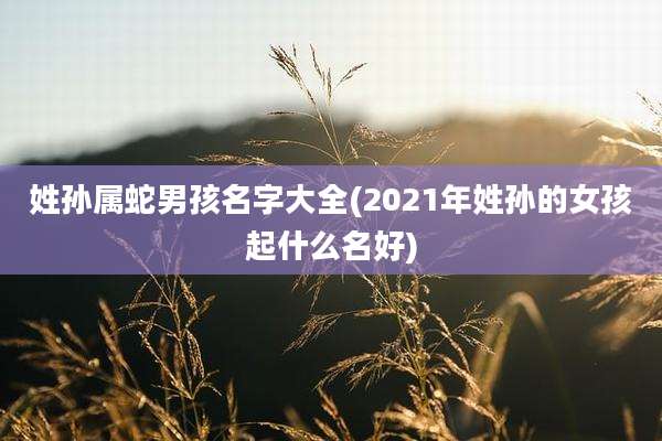 姓孙属蛇男孩名字大全(2021年姓孙的女孩起什么名好)