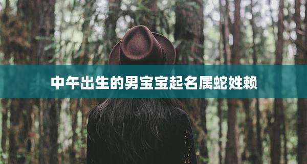 中午出生的男宝宝起名属蛇姓赖